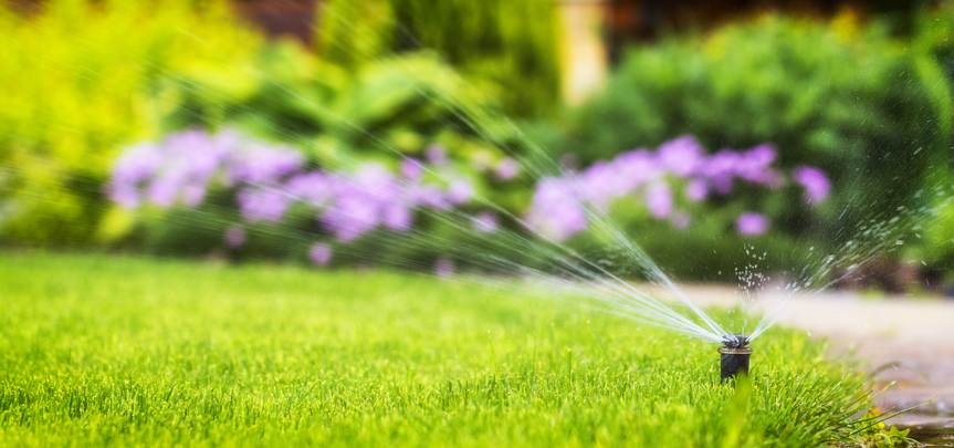 HOW TO AVOID SUMMER’S TOP SEWER PROBLEMS